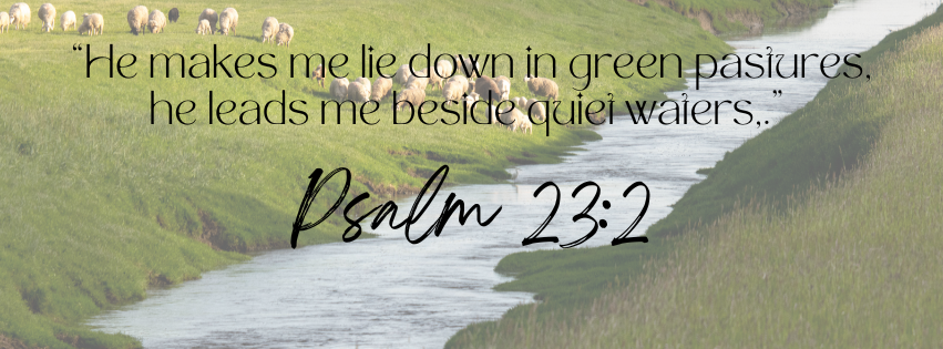 For the image alt text, title, caption and description what would you say? The image is of a walking path in the NZ bush and includes Psalm 23:3.