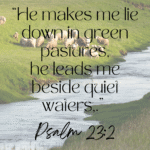 For the image alt text, title, caption and description what would you say? The image is of a walking path in the NZ bush and includes Psalm 23:3.