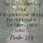 Support Write Paths NZ with a $5 gift to help publish Christ-centered devotionals and fiction that uplift hearts across New Zealand. Walking path through native New Zealand bush symbolizing spiritual renewal and guidance