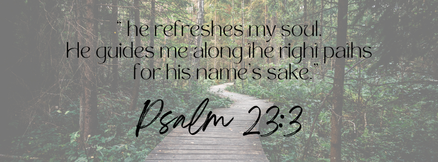 Walking path through native New Zealand bush symbolizing spiritual renewal and guidance