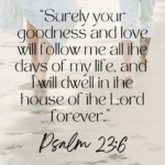 Footprints in the sand along a New Zealand beach, symbolizing Psalm 23:6’s promise of goodness and mercy.